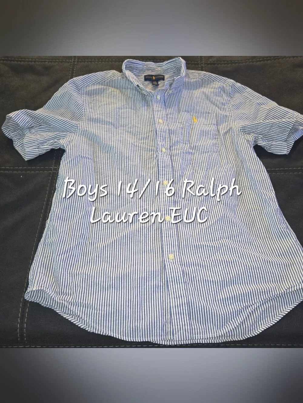 Ralph Lauren Blue and White Striped Casual Button-Down Shirt